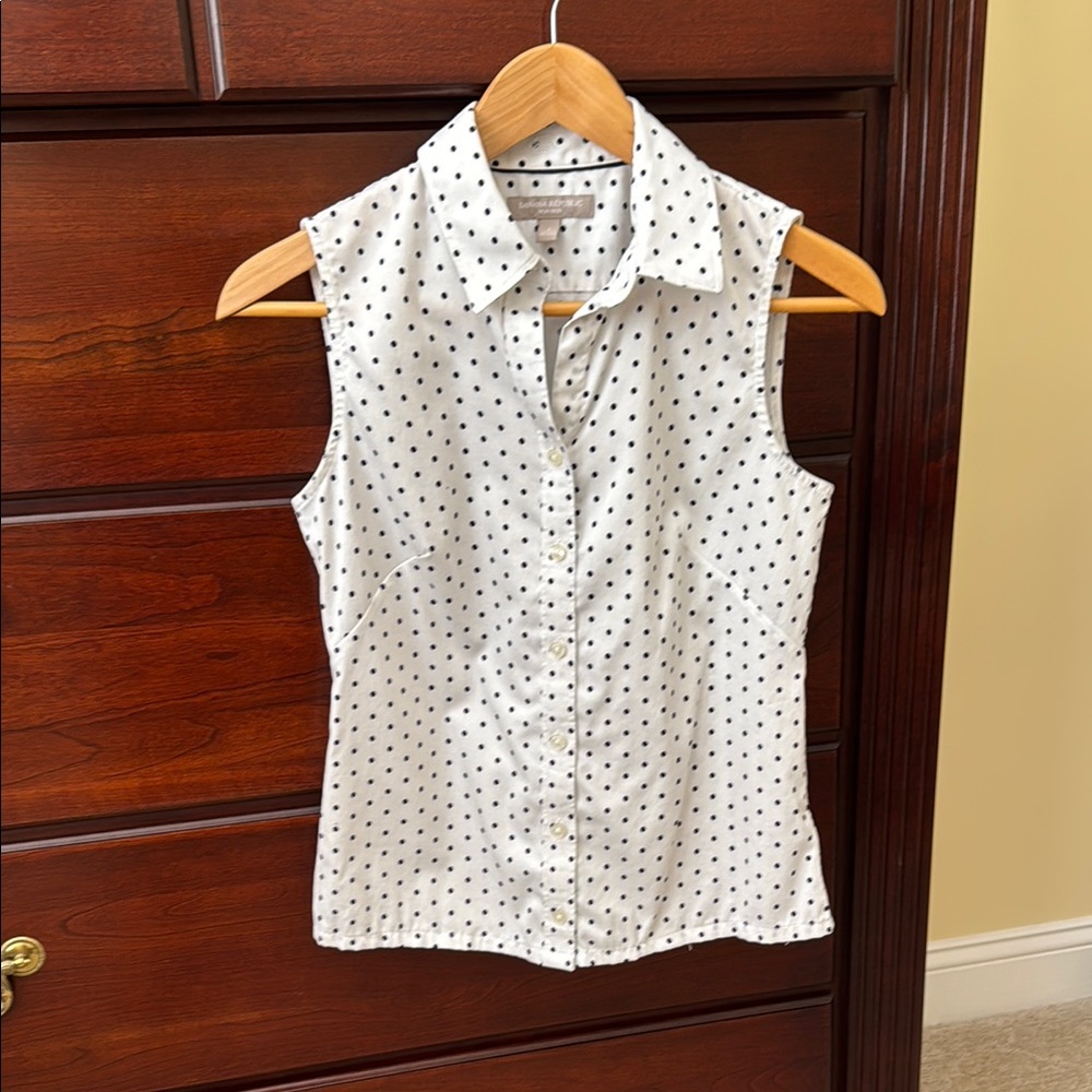 Banana Republic White and Blue Sleeveless Fitted Button Down Shirt